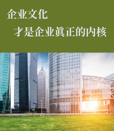 重庆一利办公家具：板式办公桌与文件柜产品参数对比分析